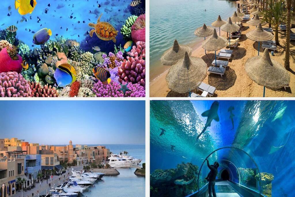 201Sheraton Plaza Hurghada Exterior foto