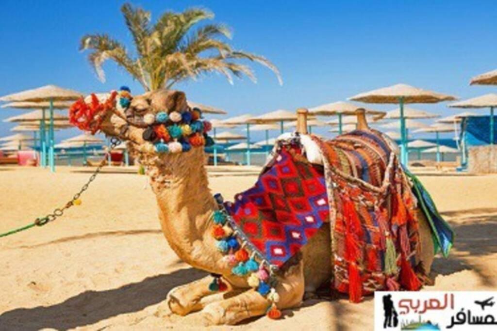 201Sheraton Plaza Hurghada Exterior foto
